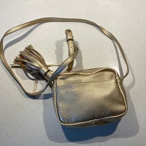 GAP Metallic Crossbody Bag